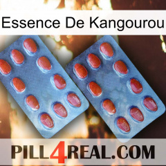 Kangaroo Essence 05